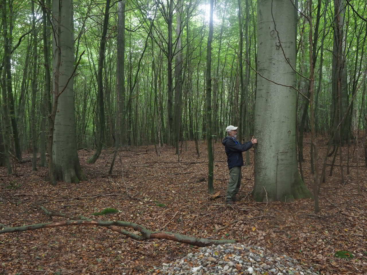 4 10 2021Tag 201 Mit Dr Lutz Fähser und dem NDR im Lübecker Stadtwald